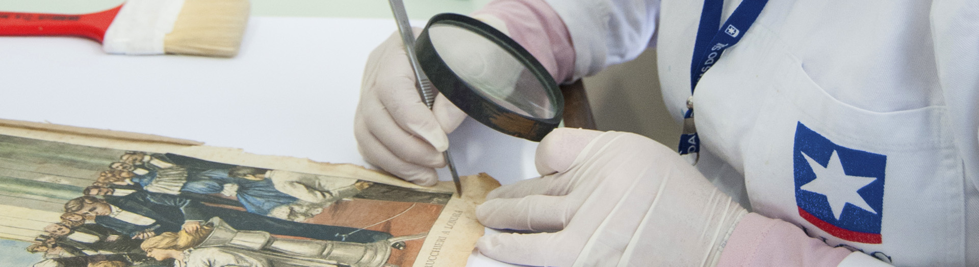Curso sugerido História
